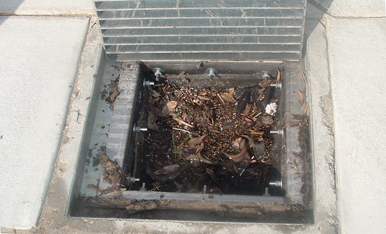Installed DrainPac™ with filtered debris